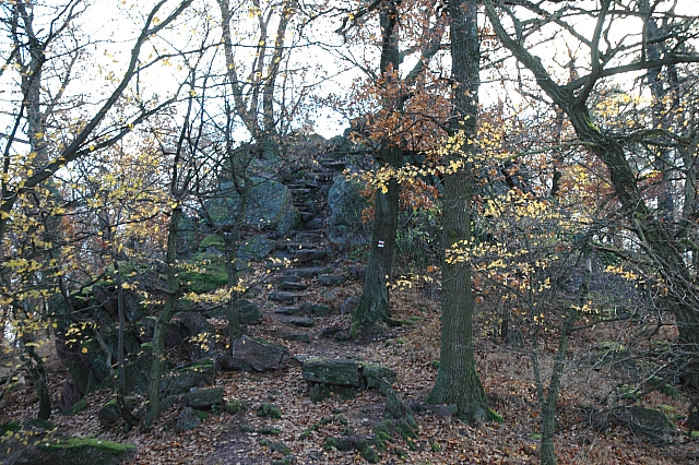 04.jpg